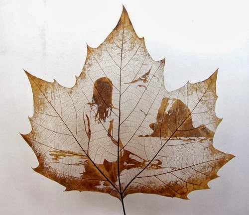 Leaf+Carving (3).jpg
